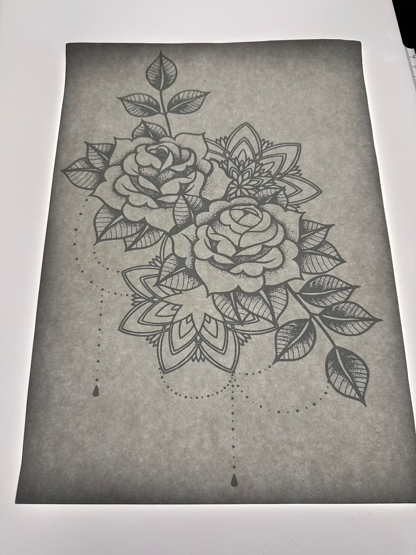 ROSE TRANSFER (WHITE)