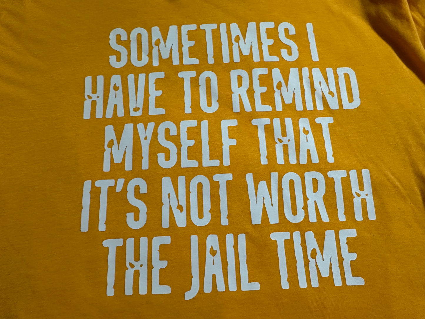 SOMETIMES I HAVE TO REMIND MYSELF THAT IT ISNT WORTH THE JAIL TIME SCREENPRINT TRANSFER