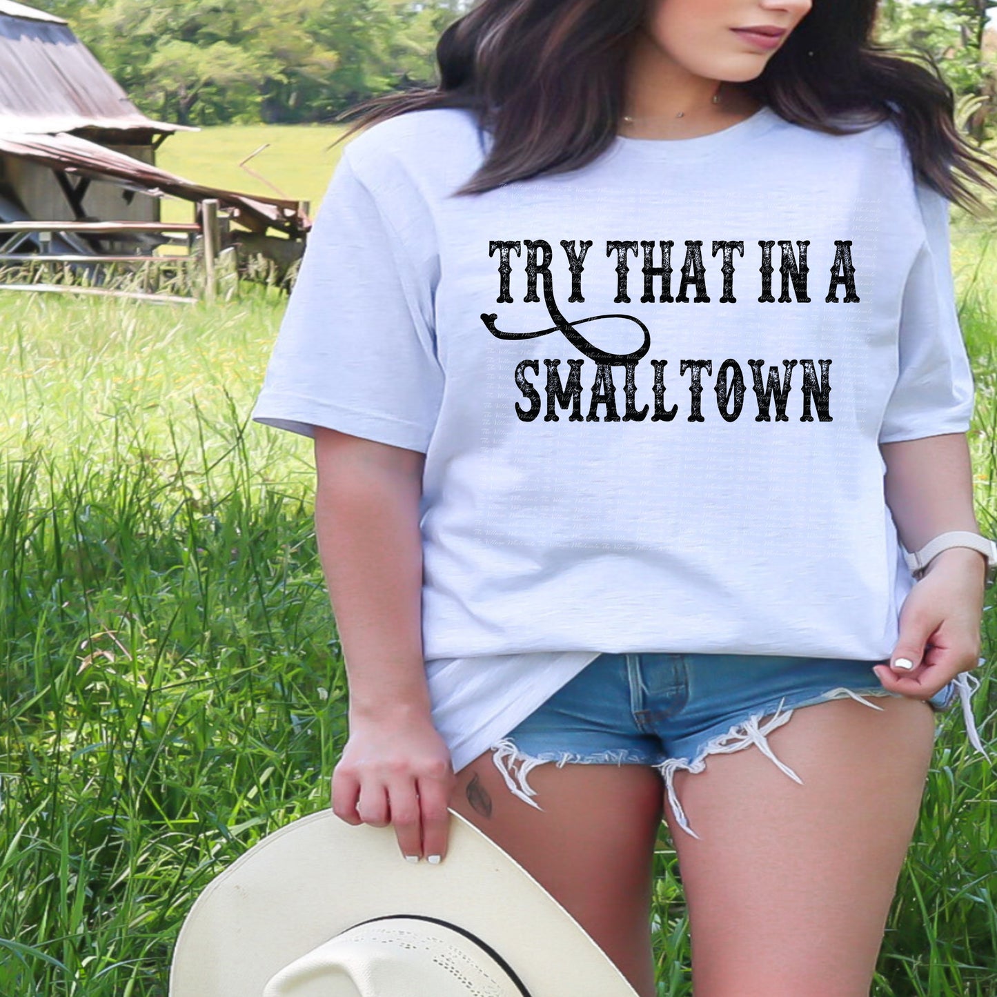 TRY THAT IN A SMALL TOWN DIGITAL DOWNLOAD