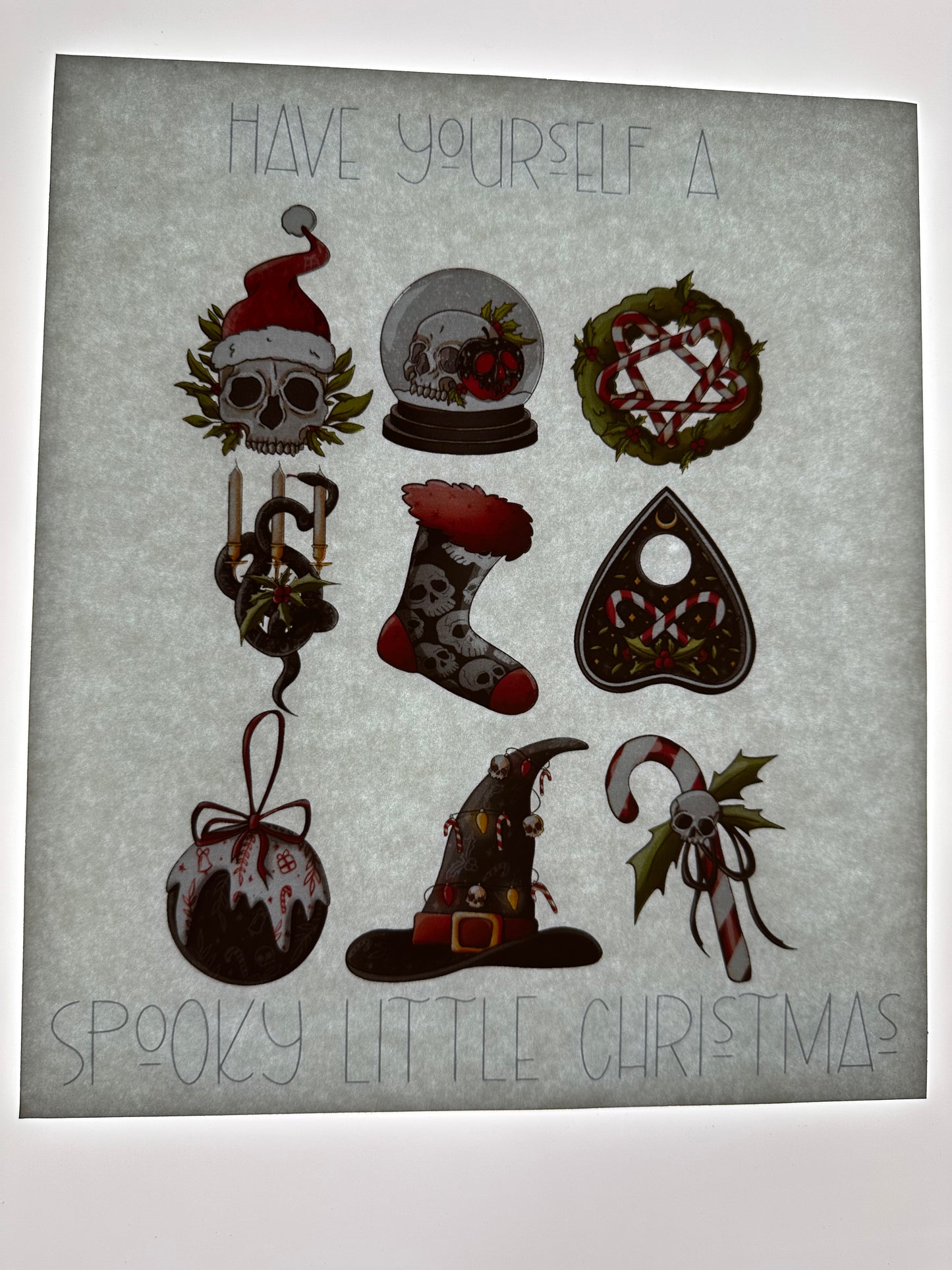 TRANSFER (MULTICOLORED)