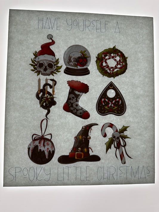 TRANSFER (MULTICOLORED)