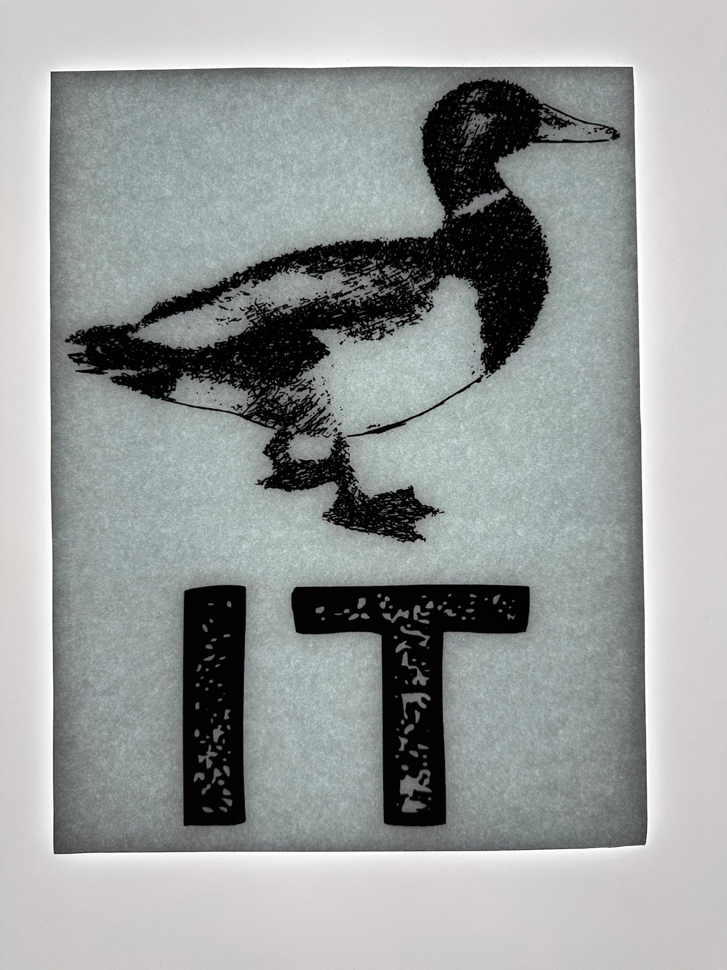 DUCK IT TRANSFER (BLACK)