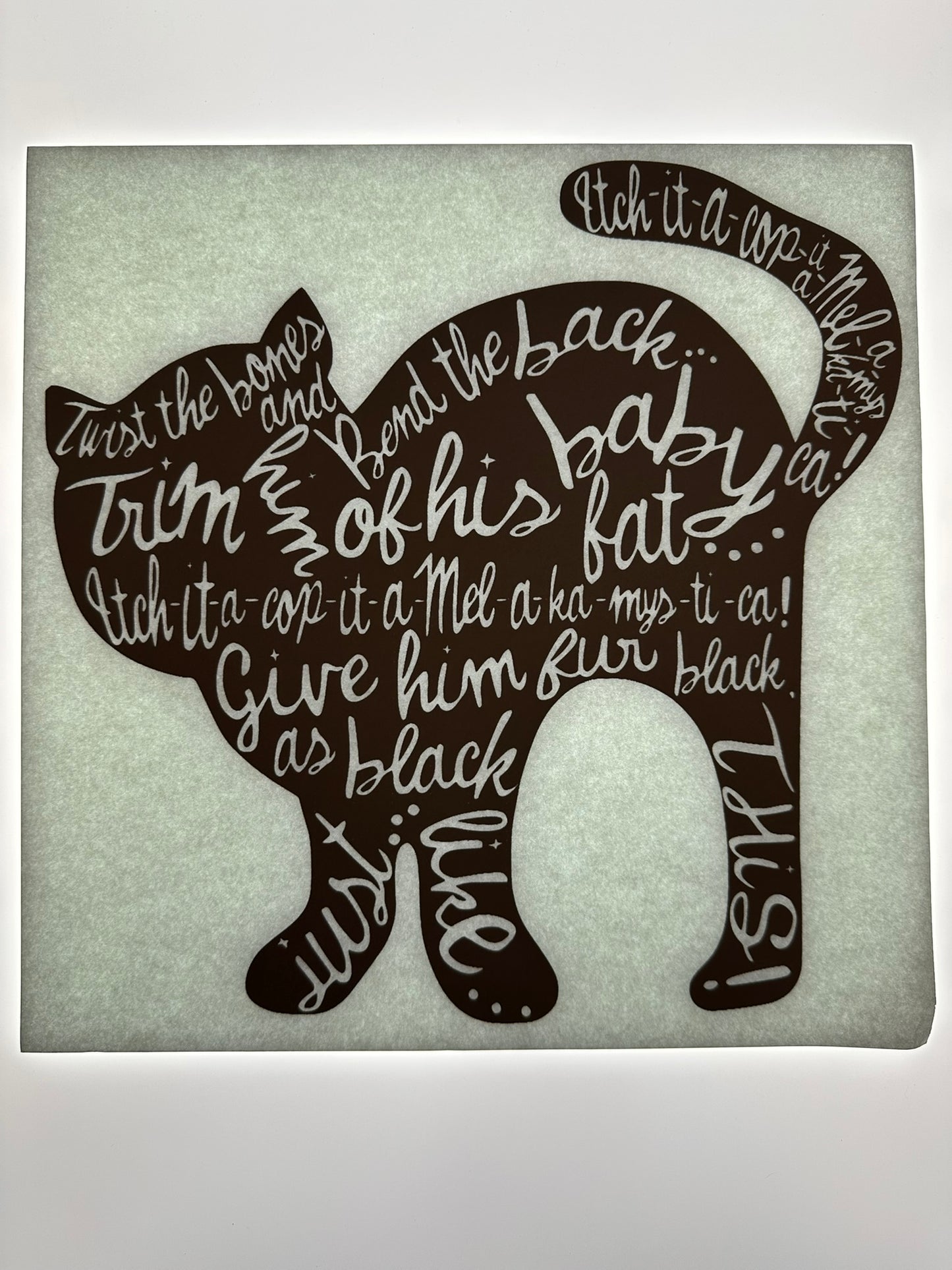 BLACK CAT TRANSFER (BLACK)