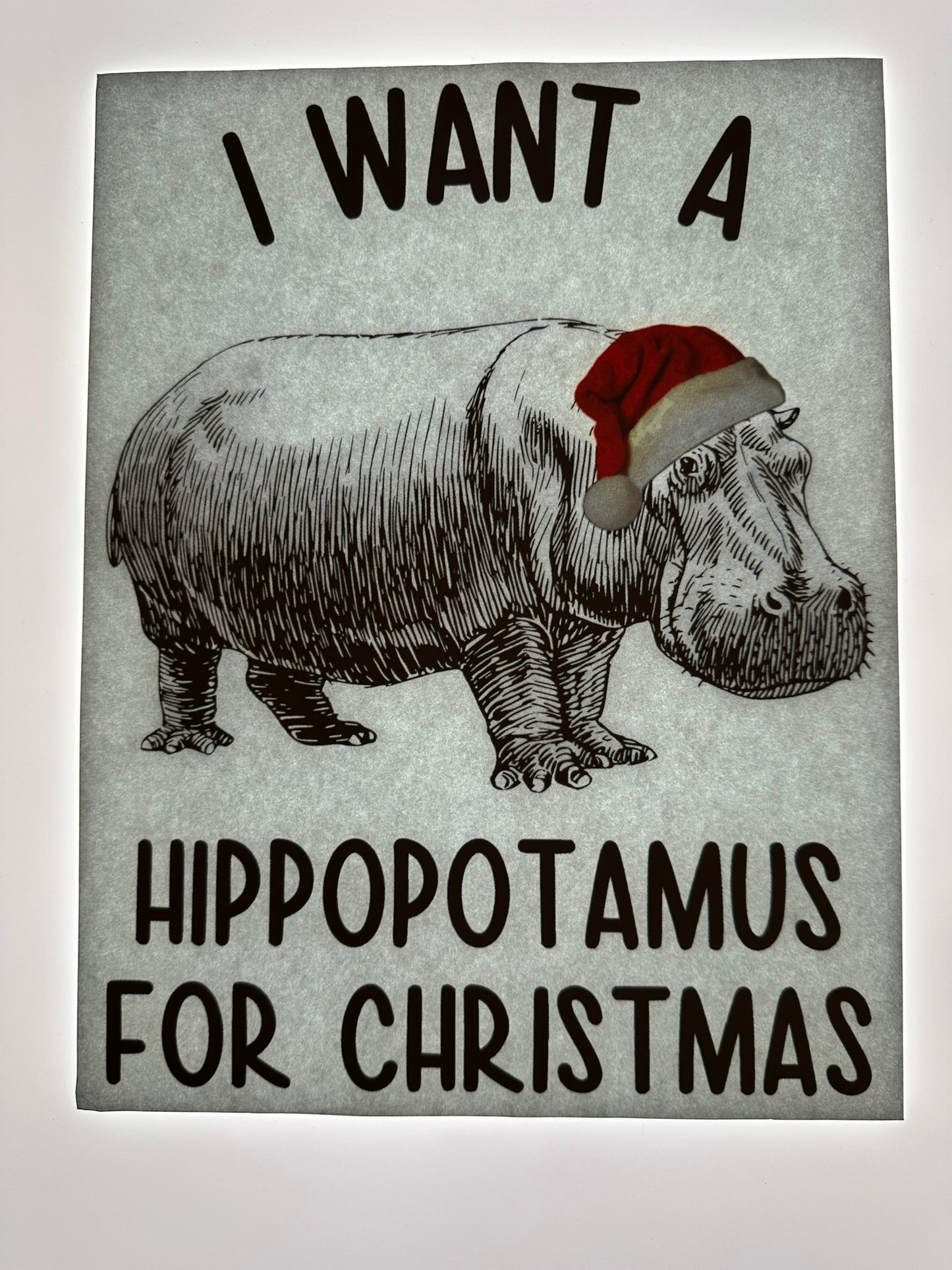 I WANT A HIPPOPOTAMUS FOR CHRISTMAS TRANSFER (MULTICOLORED)